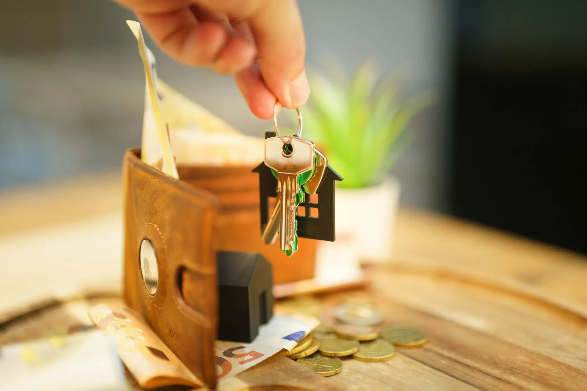 Top 4 Ways to Optimize Owner Disbursements in Palmetto, FL